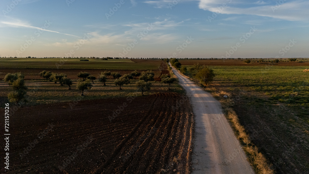 aerial view of a rural road next to a crop field