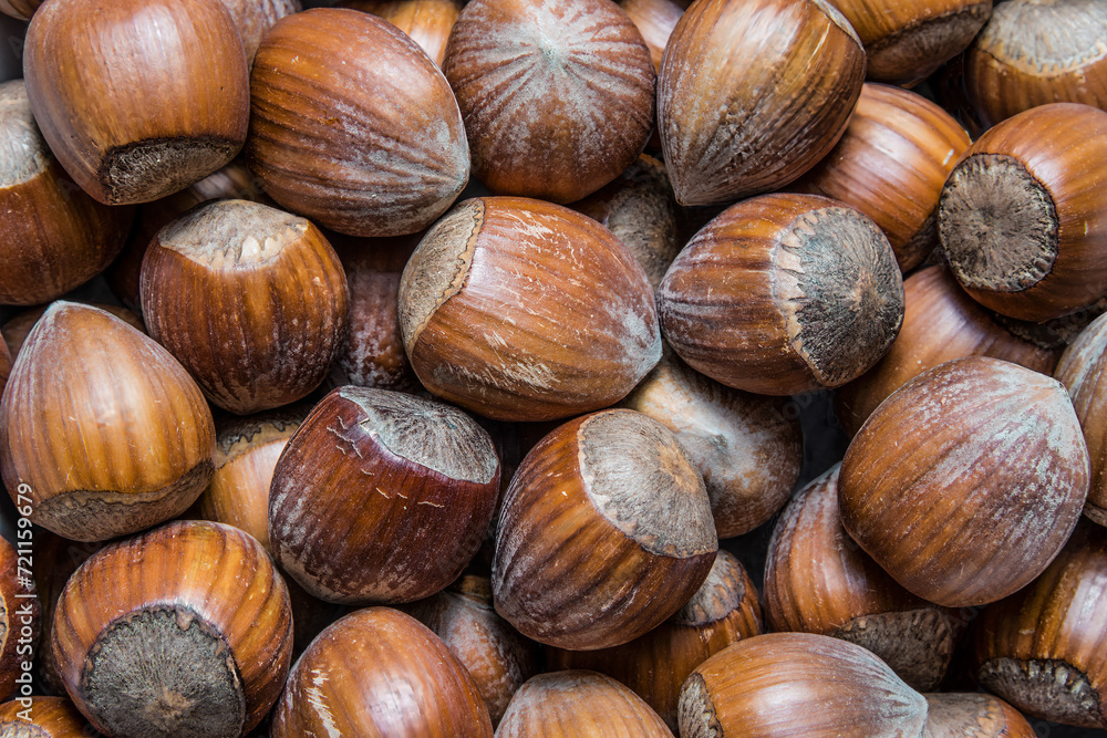 Close-up of a mound of hazelnuts, the fruit of the hazel tree, Corylus avellana Close-up of a mound of hazelnuts, the fruit of the hazel tree, Corylus avellana