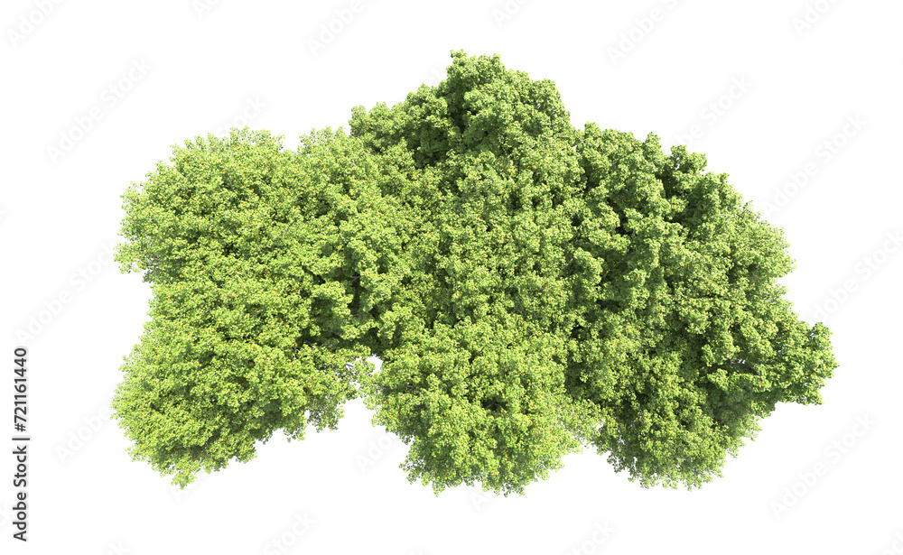 Green forest isolated on background. 3d rendering - illustration Green forest isolated on background. 3d rendering - illustration