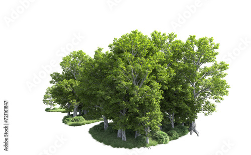 Green forest isolated on background. 3d rendering - illustration