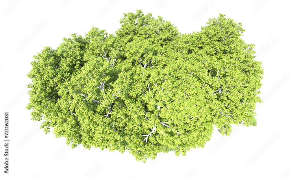 Obraz premium Green forest isolated on background. 3d rendering - illustration