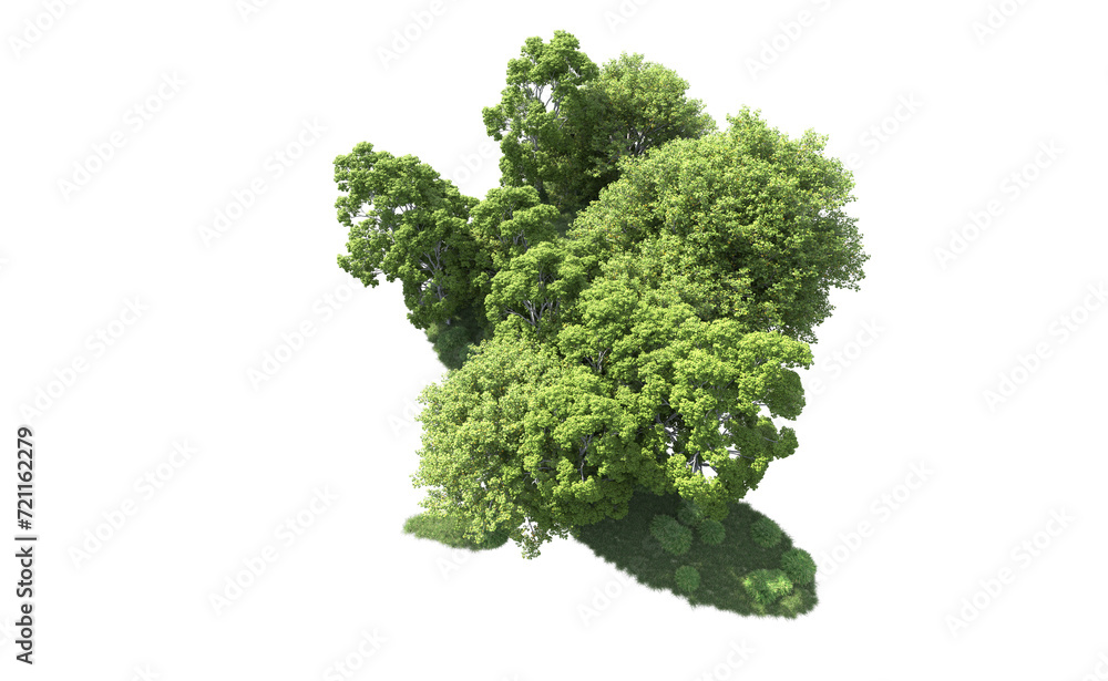 Green forest isolated on background. 3d rendering - illustration Green forest isolated on background. 3d rendering - illustration