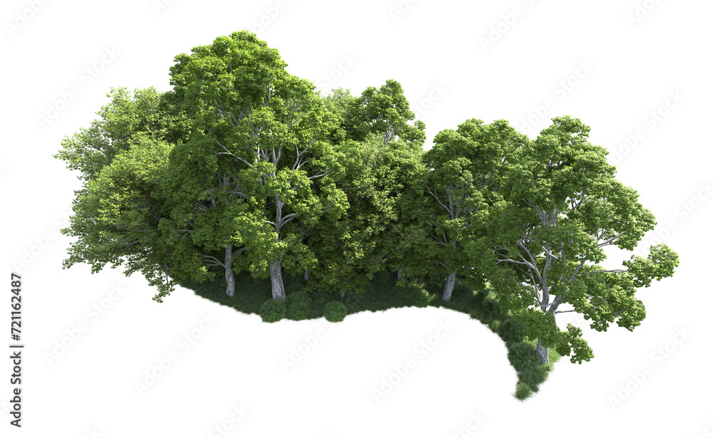 Naklejka premium Green forest isolated on background. 3d rendering - illustration