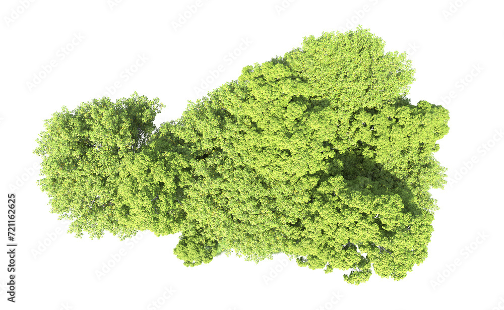 Fototapeta premium Green forest isolated on background. 3d rendering - illustration