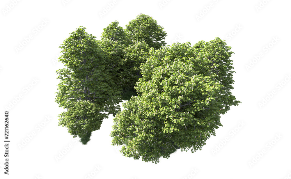 Green forest isolated on background. 3d rendering - illustration Green forest isolated on background. 3d rendering - illustration
