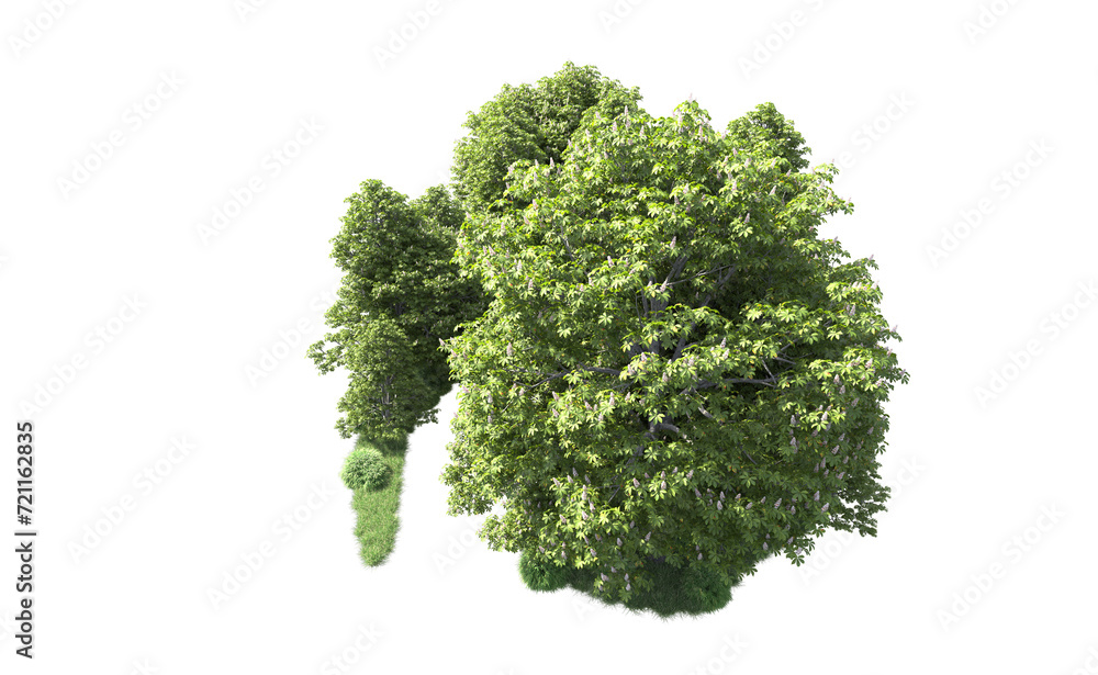 Green forest isolated on background. 3d rendering - illustration