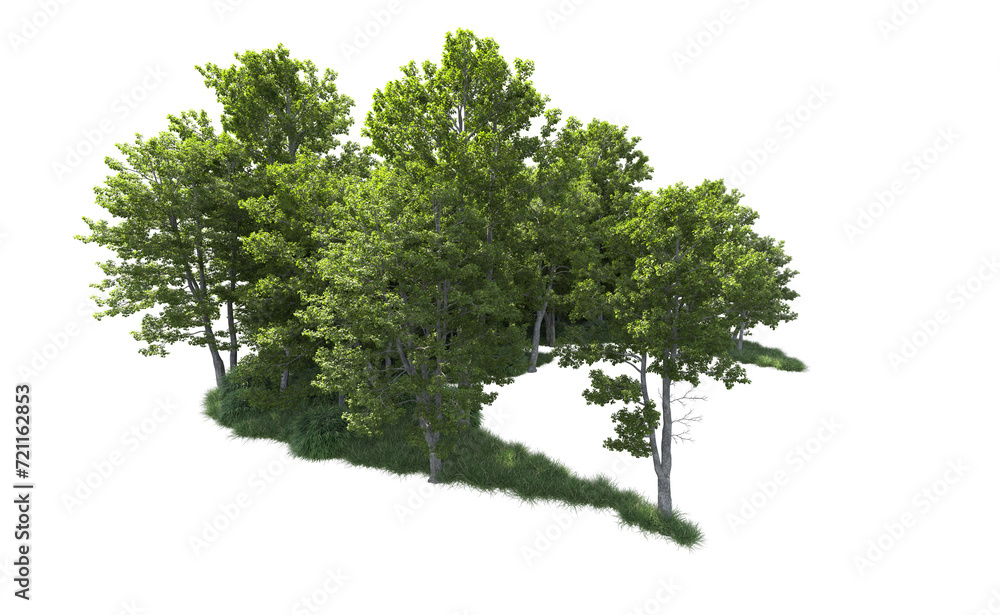 Obraz premium Green forest isolated on background. 3d rendering - illustration
