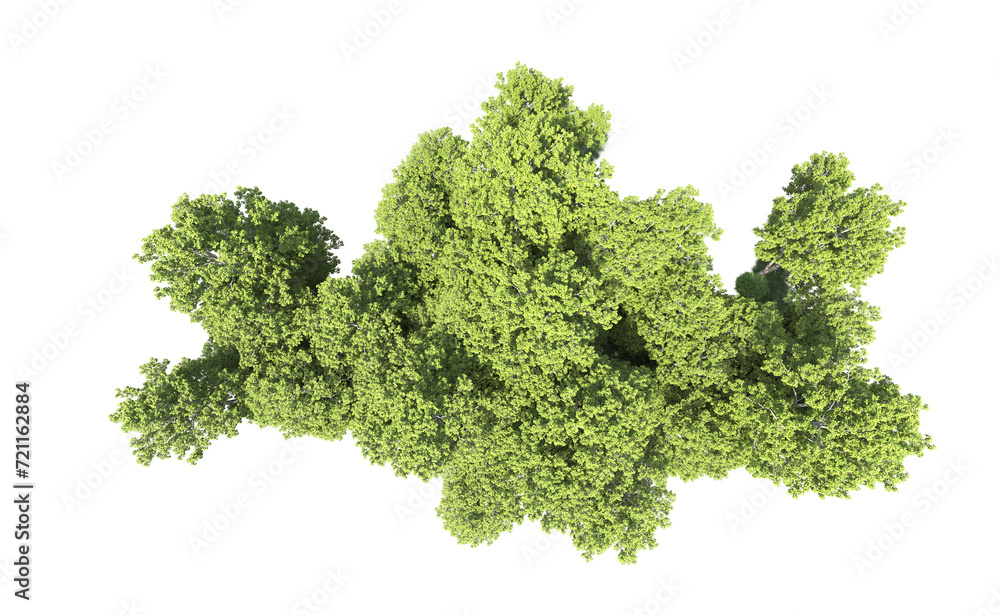Obraz premium Green forest isolated on background. 3d rendering - illustration
