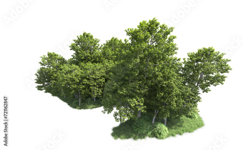 Green forest isolated on background. 3d rendering - illustration