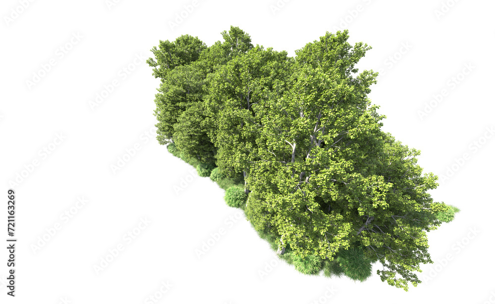 Obraz premium Green forest isolated on background. 3d rendering - illustration