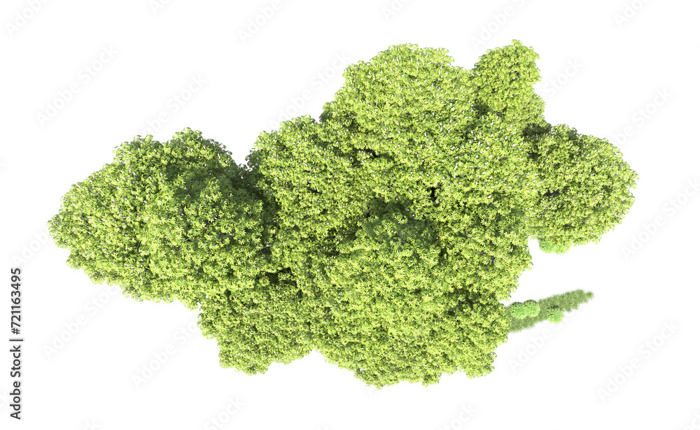 Green forest isolated on background. 3d rendering - illustration Green forest isolated on background. 3d rendering - illustration