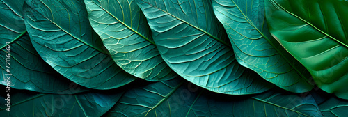 abstract green leaf texture, nature background, tropical leaf, Generative Ai