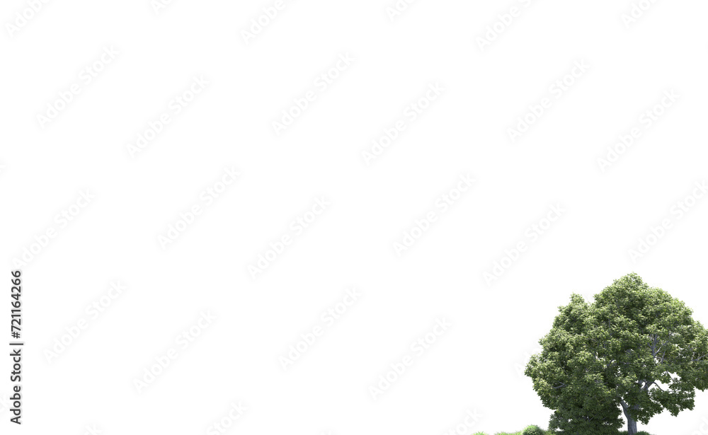 Green forest isolated on background. 3d rendering - illustration Green forest isolated on background. 3d rendering - illustration