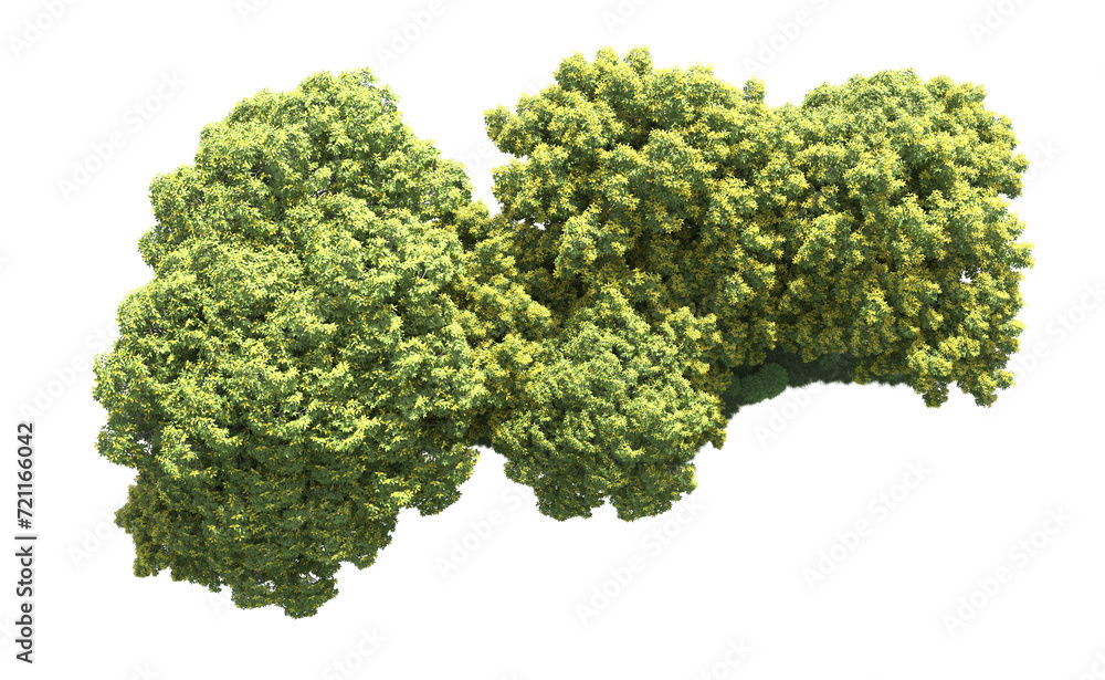 Green forest isolated on background. 3d rendering - illustration Green forest isolated on background. 3d rendering - illustration
