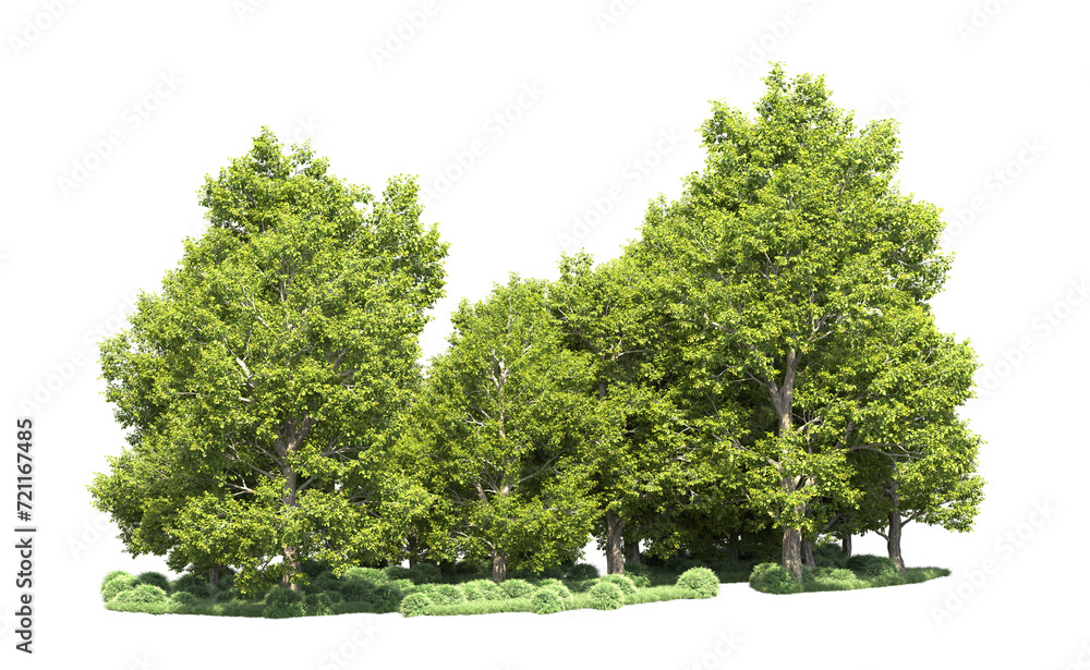 Green forest isolated on background. 3d rendering - illustration Green forest isolated on background. 3d rendering - illustration