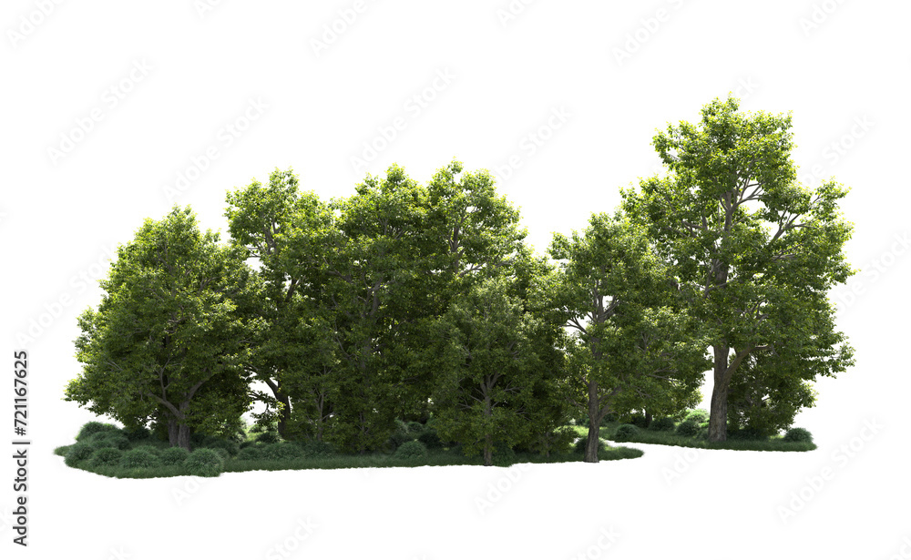 Green forest isolated on background. 3d rendering - illustration Green forest isolated on background. 3d rendering - illustration