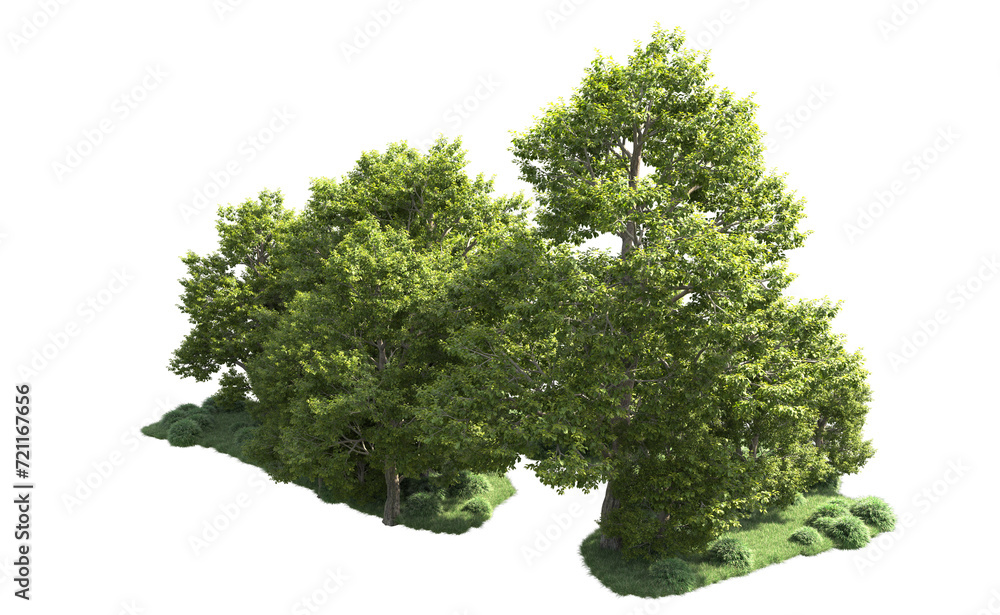 Obraz premium Green forest isolated on background. 3d rendering - illustration