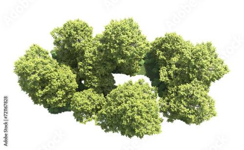Green forest isolated on background. 3d rendering - illustration