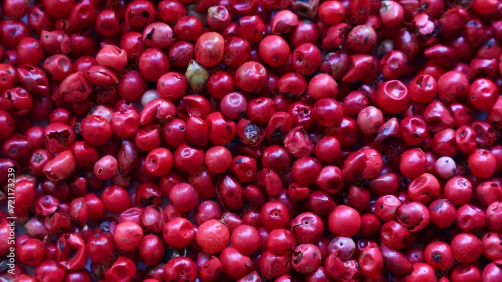 Bright pink peppercorns circle rotation close up top view Bright pink peppercorns circle rotation close up top view