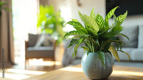 Green plants in ceramic vase