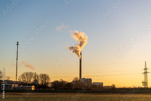 plant at sunset