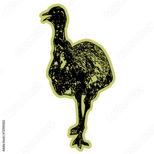 Emu vintage style, animal australia with cutting sticker sutable for australia day concept and animal illustration content photo