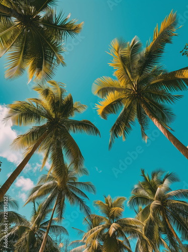 Upward View of Palm Trees Canopy Against a Bright Blue Sky