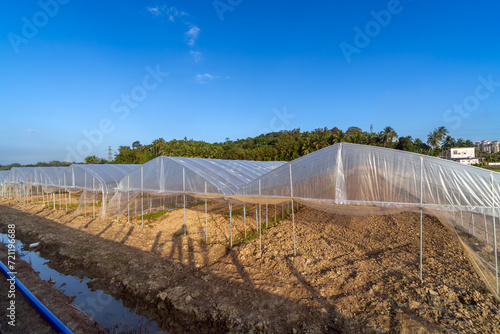 Greenhouses for vegetables in summer, located in Hainan Island, China.
