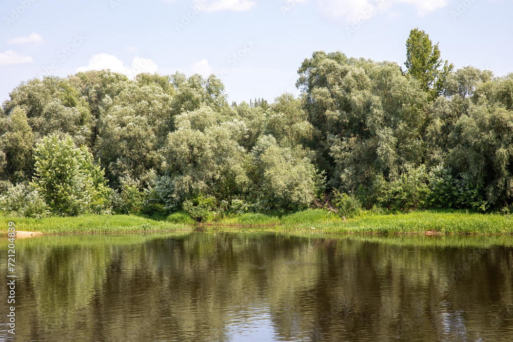 Fototapeta premium The landscape of the river and the shore with green trees in summer.