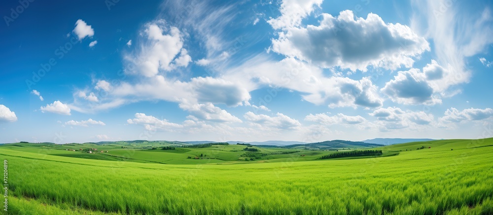 Beautiful natural landscape panorama of green field of cut grass with blue sky with clouds on the horizon. Perfect green lawn on a sunny summer day... Beautiful natural landscape panorama of green field of cut grass with blue sky with clouds on the horizon. Perfect green lawn on a sunny summer day...