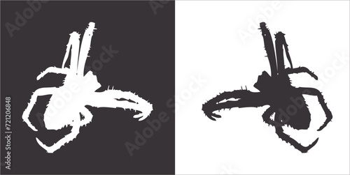 Illustration vector graphics of spider icon