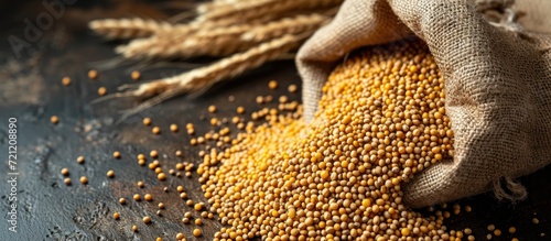 Canvas bag filled with mustard seeds and grain ears.