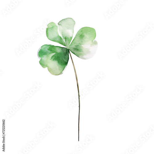 Watercolor a lucky clover leave long green stem clipart transparent background photo