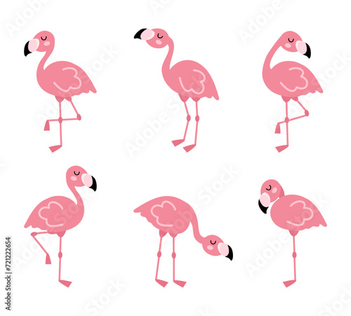 Cute cartoon pink flamingo set. Exotic birds in different poses