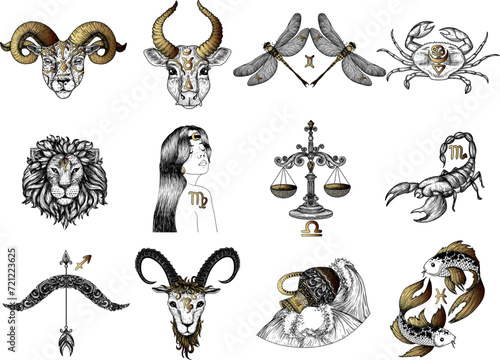 Vector set of zodiac signs. Aries, Taurus, Gemini, Cancer, Leo, Virgo, Libra, Scorpio, Sagittarius, Capricorn, Aquarius, Pisces