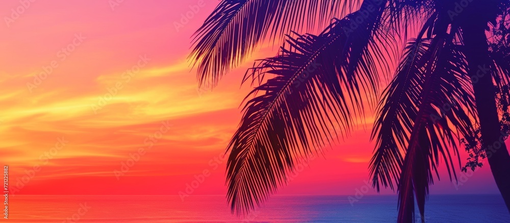 Palm Branches Silhouettes against a Majestic Sunset: Captivating Palm Branches Silhouettes Dance Amidst the Stunning Colors of a Mesmerizing Sunset