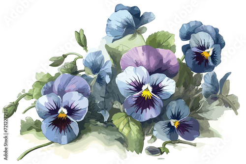 Blue pansy isolated_ on white background vector art painting.