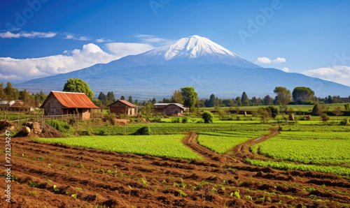 Aerial view of the African farm lands