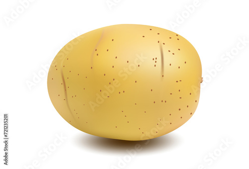 potato on white background