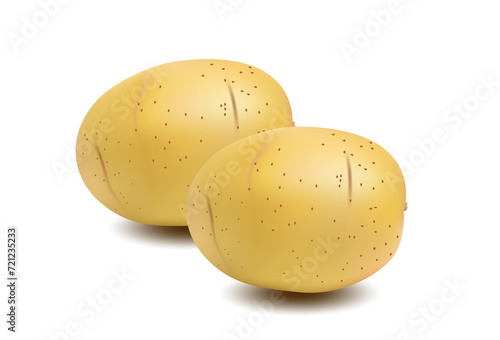 potato on white background