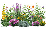 Set of flowers. Cutout plants for garden design or landscaping