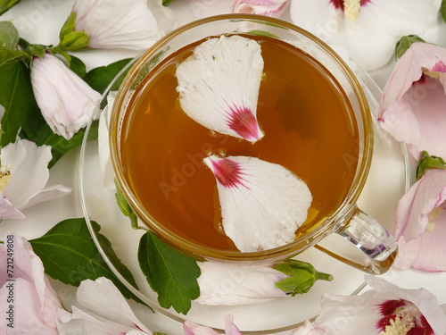 Mallow flower petal tea in a glass cup on a background of fresh white and pink mallow flowers 