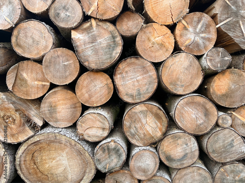 Background from cut wooden trunks. A pile of wooden trunks. Wooden trunks with rings Background from cut wooden trunks. A pile of wooden trunks. Wooden trunks with rings