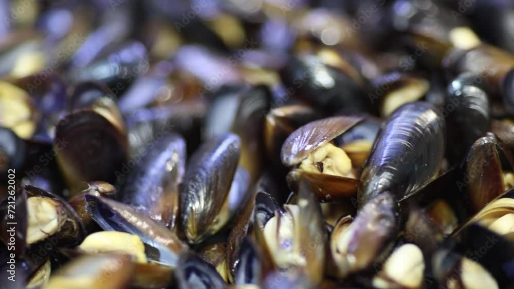 Close-up. Panoramic shot of a Far Eastern mussel lying on a plate. Sea food. Close-up. Panoramic shot of a Far Eastern mussel lying on a plate. Sea food.