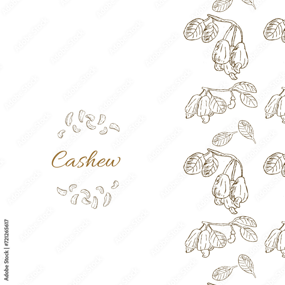 Cashew cover template isolated in Hand drawn style. Vector illustration in brown color