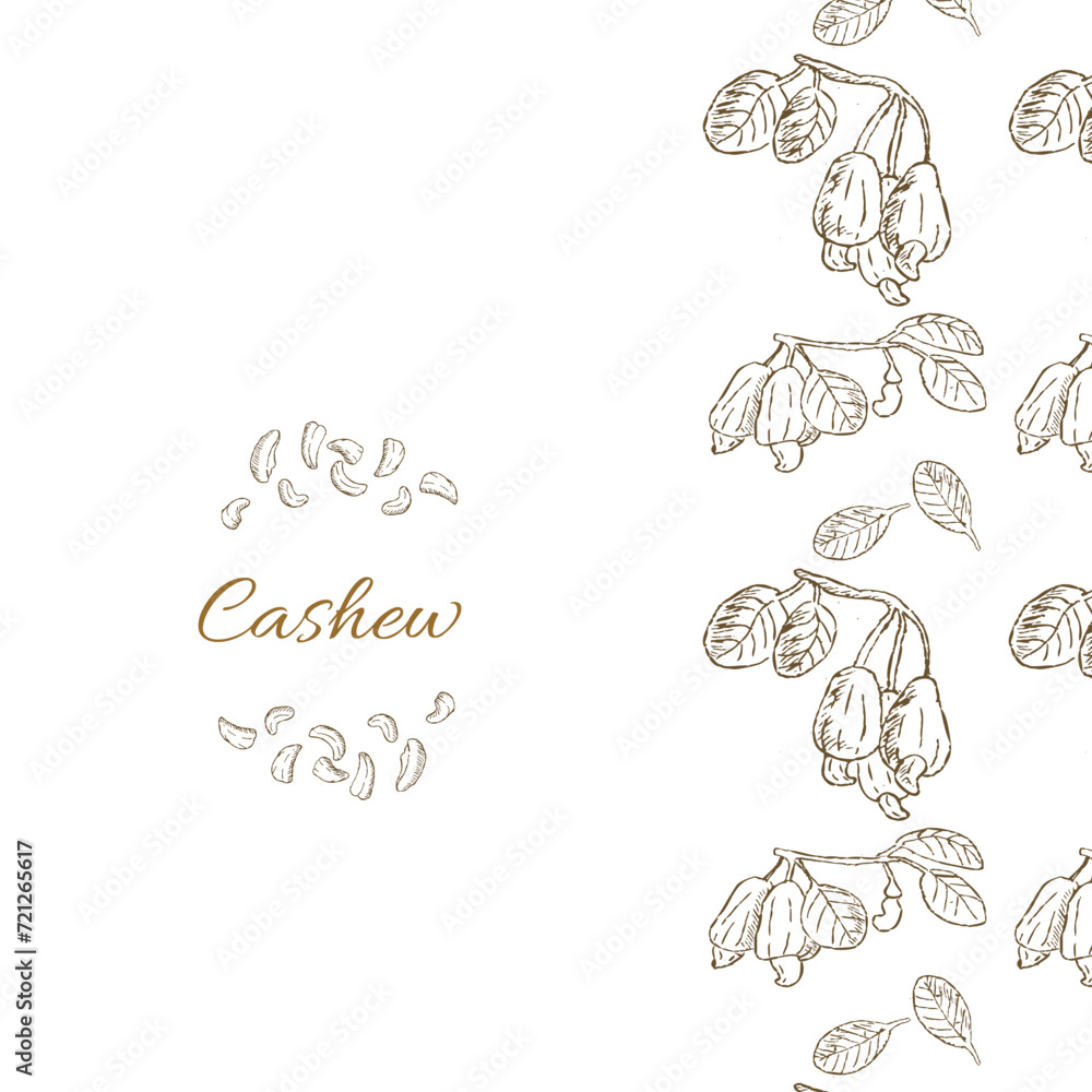 Obraz premium Cashew cover template isolated in Hand drawn style. Vector illustration in brown color