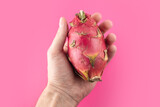 dragon fruit in hand on pink background, full depth of field