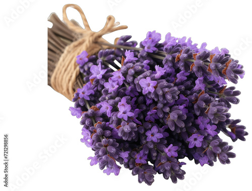 bunch of lavender flowers