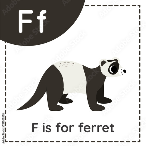 Learning English alphabet for kids. Letter F. Cute cartoon ferret.