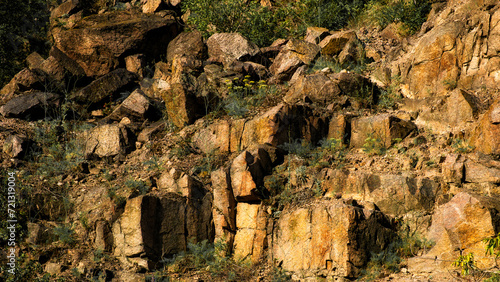 The image shows a rugged terrain with various sizes of rocks and boulders, and some vegetation growing among them.